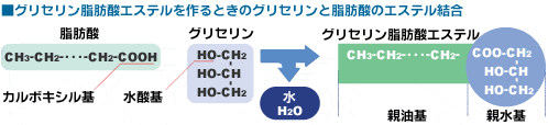 グリセリン脂肪酸エステルを作るときのグリセリンと脂肪酸のエステル結合