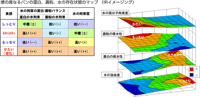 Vol.4 食品中の蛋白質